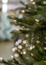 The Best Christmas Tree Storage Solution