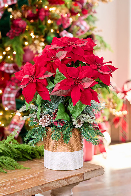 Xmas SALE 16,200→10,000プリザーブドフラワー リース Christmas Flowers on Sale | Decorator's Warehouse