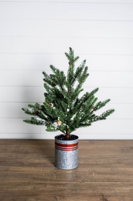24” Farmhouse Potted Snowy Pine Tree