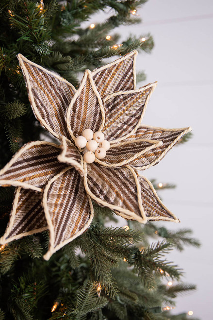 Brown Stripe Poinsettia Stem