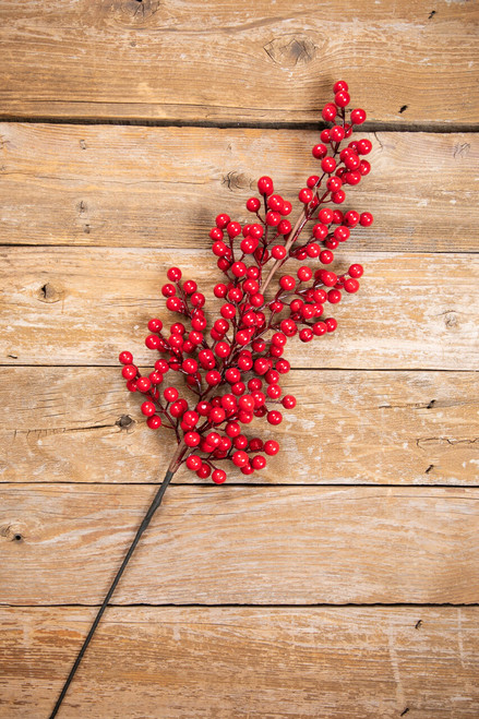 39” Red Tall Berry Stem