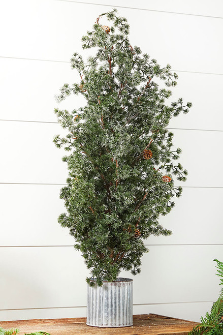 36” Frosted Potted Pine