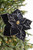 22" x 12" Black Velvet Poinsettia Stem