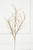 34" Glitter/Sequin Pampas Grass Spray - Champagne/Gold