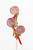 25" Lollipop with Pom Pom Holly Spray - Red/White