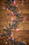 25' 12.5' Platinum Elite Cluster Lights - 380L Cool White & Red (Green Cord)