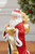 11" Resin Elegant Santa with Sack/List