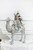 King riding on Camel