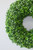 30" Boxwood Wreath Close Up