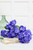 Flat Lay Hydrangea