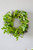 22" Eucalyptus Fern Wreath