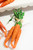 13"H Handcrafted Grass Easter Carrot Bundle - Orange Twine