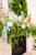 Spring Easter Garland Close Up
