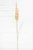 38" Golden Field Grass Stalk