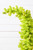 7' Lime Green Whimsical Tree with LED Lights - Top