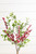 19" Red Berries and Frosted Mistletoe Bush