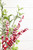 19" Red Berries and Frosted Mistletoe Bush - Close Up