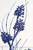 27.5" Navy Glitter Berry Grass Spray - Close Up