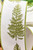 4" x 5 Yard Canvas Tree Embroidered Ribbon - Close Up