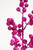 24" Hot Pink Glittered Cluster Berry Spike Close Up