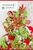 Storyville Christmas tree topper