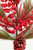 30" Berry Pinecone Cedar Spray - Red - Close Up