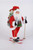 Lighted Ski Santa - Front