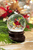 Cardinal Snowglobe 2