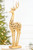 18" Resin Scroll Deer 
Looking Forward