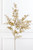 26" Champagne Snowy Boxwood Spray