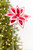 20" Whimsical Red & White Poinsettia