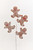 25" Gingerbread Spray