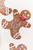 25" Gingerbread Spray - Close-Up