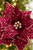 20" x 12" Burgundy Sequin Poinsettia Stem - Close-Up