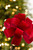 20" x 8” Red Velvet Ribbon Stem - Close-Up
