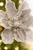 20" x 8.5” Platinum Magnolia Stem - Close-Up
