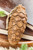 5.75" Pinecone Wood Ornament