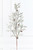 30" Snow Cedar Spray