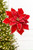 19" x 14" Red & Gold Poinsettia Stem