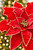 19" x 14" Red & Gold Poinsettia Stem - Close-Up