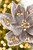 19" x 10" Platinum Magnolia Stem - Close-Up