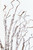 36" Snow Twig Branch - Close-Up