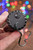 20' LED Twinkle Compact Lights - Battery Operated
On/Off Switch
