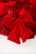42" Red Velvet Sequin Bow Wreath - Bow Detail