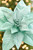 24" x 13" Mint Poinsettia Stem - Close-Up