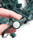 C9 Magnetic Socket Cord Magnet bottom