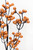 29" Orange Halloween Glitter Ball Spray - Close-Up