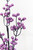 29" Purple Halloween Glitter Ball Spray - Close-Up