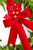 24" Red Velvet Candy Cane with Holly
Detail