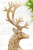 9" Resin Laying Winter Chalet Deer - Close-Up